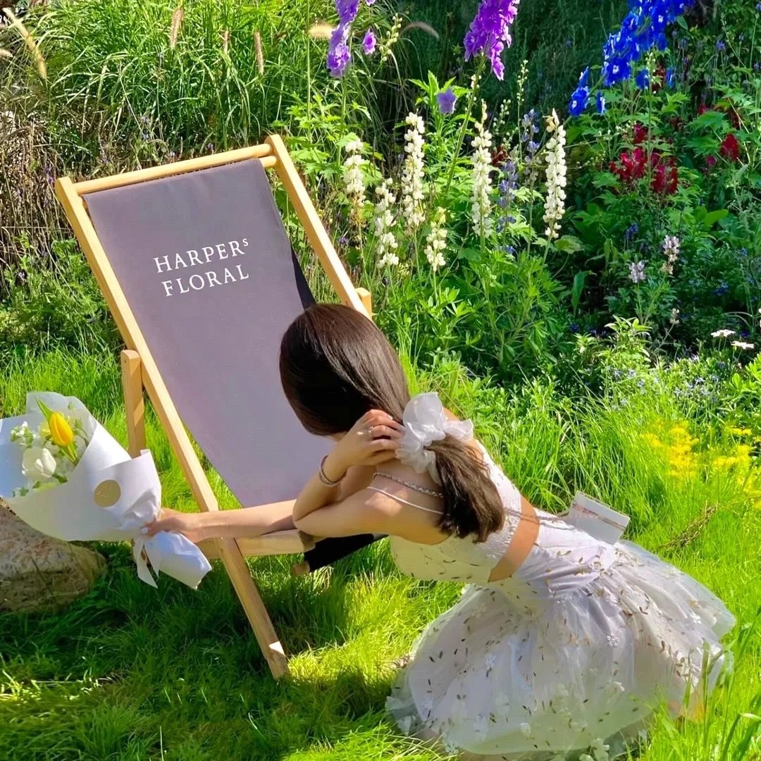 大追击